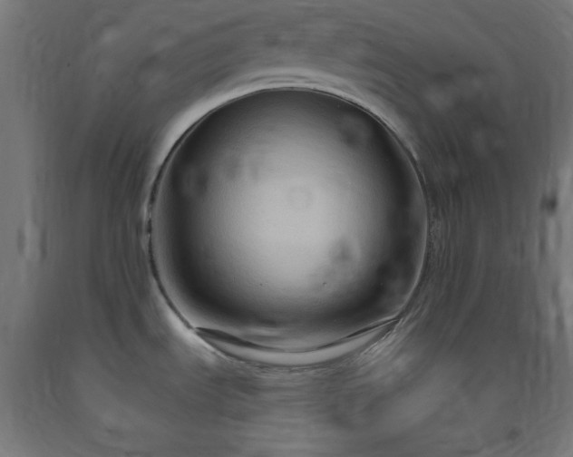 X0000093251535200710031553