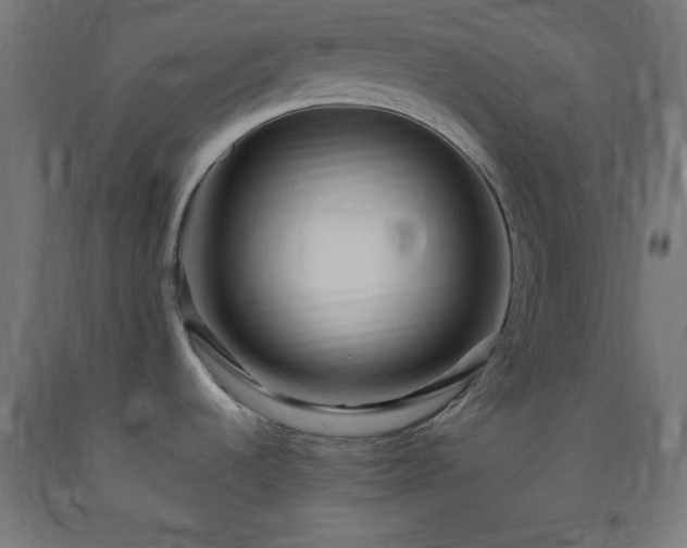 X0000093251536200710031553