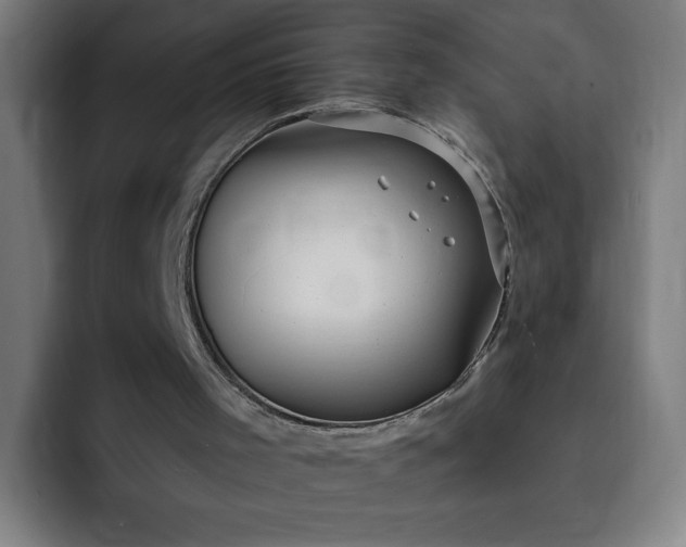 X0000093250001200710101449