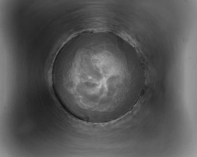 X0000093250002200710101449