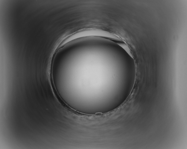 X0000093250003200710101449