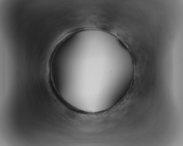 X0000093250005200710101449