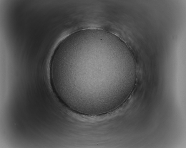 X0000093250006200710101449