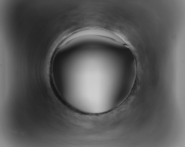 X0000093250007200710101449