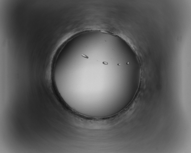 X0000093250008200710101449