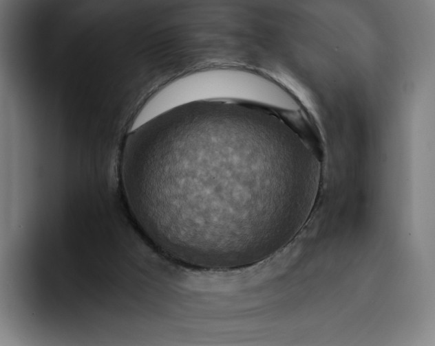 X0000093250009200710101449