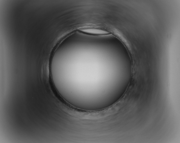 X0000093250011200710101449