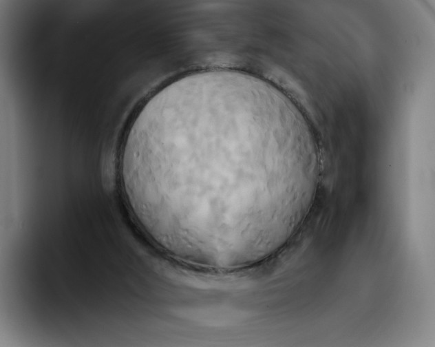 X0000093250012200710101449