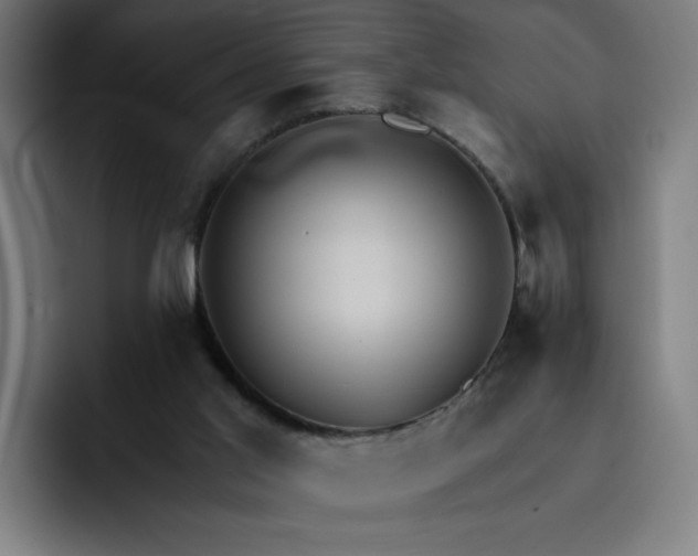 X0000093250013200710101449