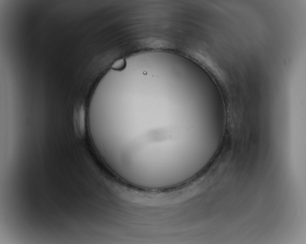 X0000093250014200710101449