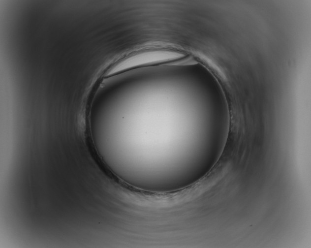 X0000093250015200710101449