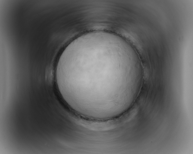 X0000093250016200710101449