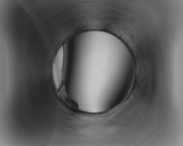 X0000093250017200710101449