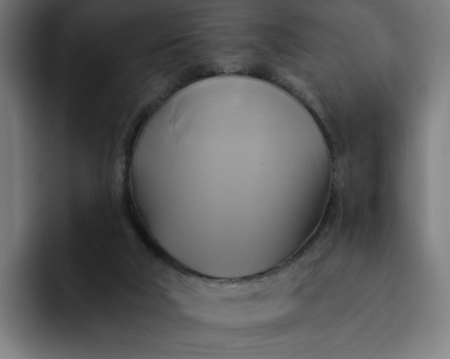 X0000093250018200710101449