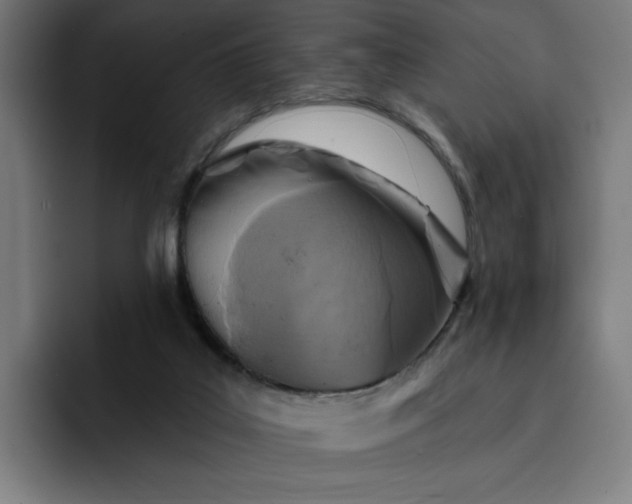 X0000093250019200710101449