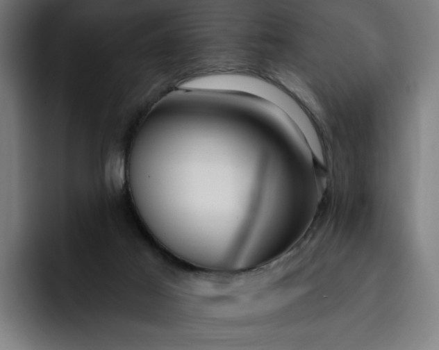 X0000093250021200710101449