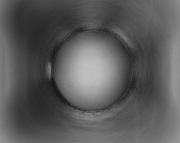 X0000093250022200710101449