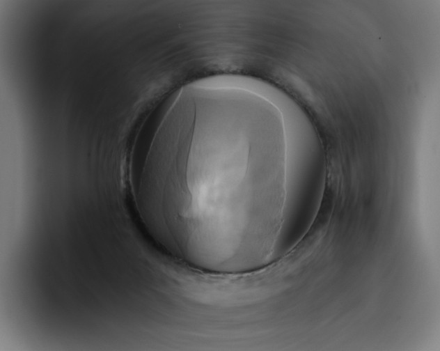 X0000093250023200710101449