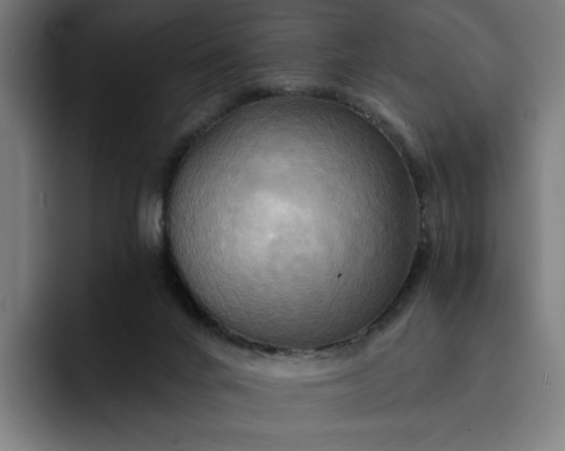 X0000093250024200710101449