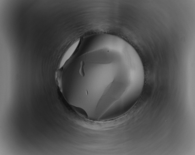 X0000093250027200710101449