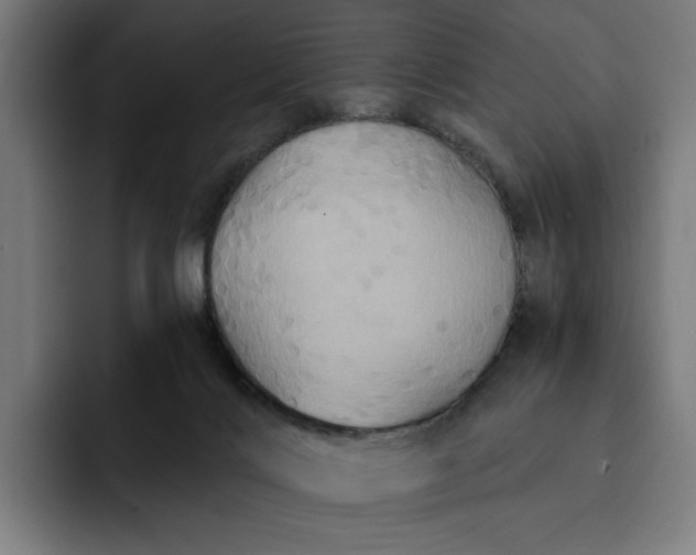 X0000093250028200710101449