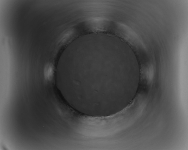 X0000093250029200710101449