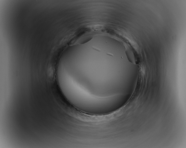 X0000093250031200710101449