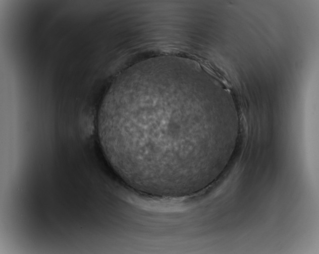 X0000093250032200710101449