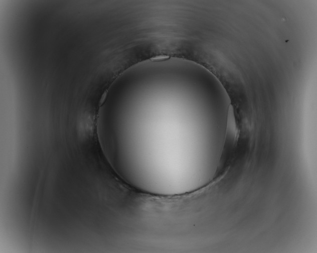 X0000093250033200710101449