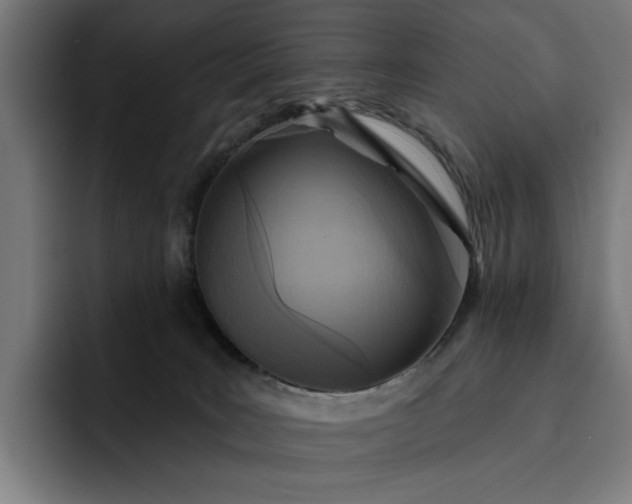 X0000093250035200710101449