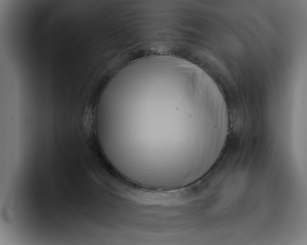 X0000093250036200710101449