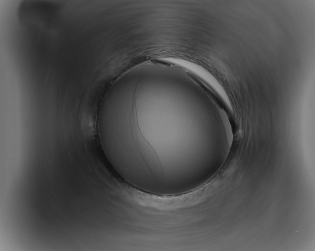 X0000093250039200710101449