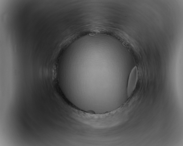 X0000093250043200710101449