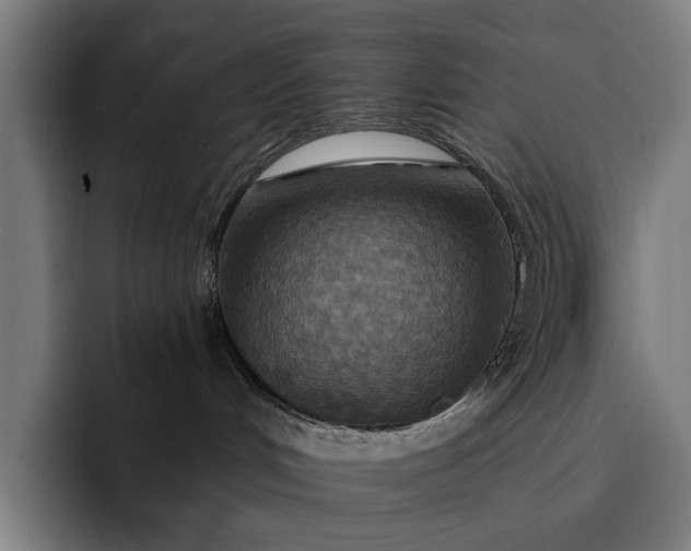 X0000093250048200710101449