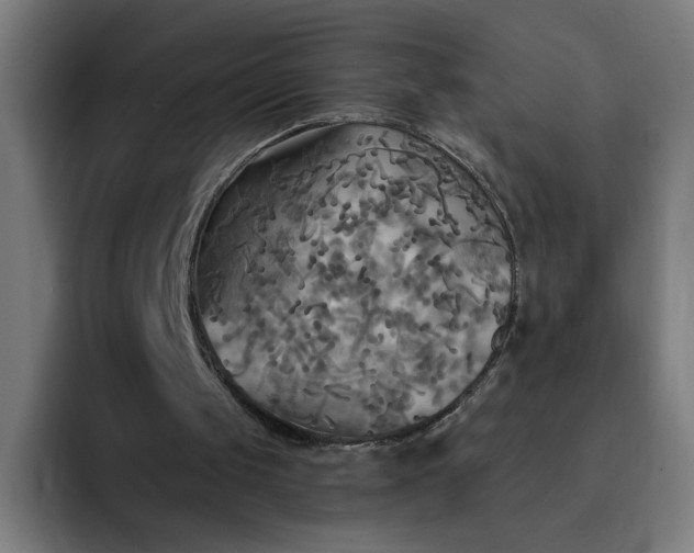 X0000093250049200710101448