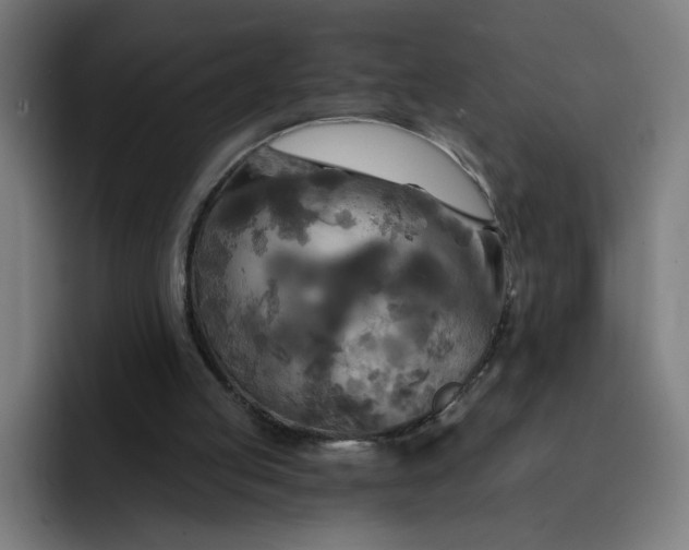 X0000093250053200710101448