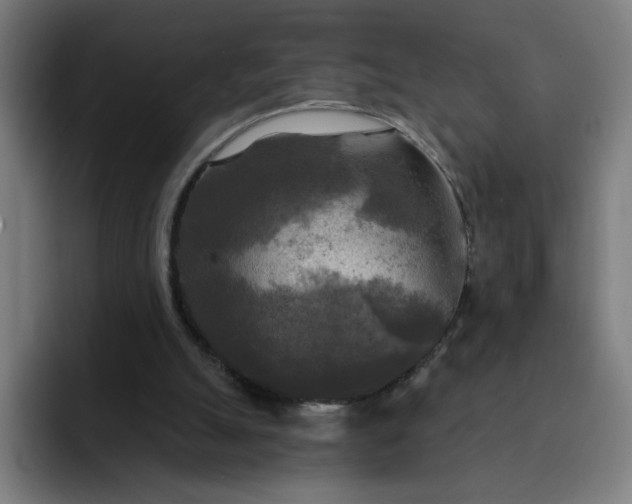 X0000093250055200710101448