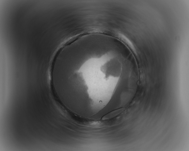 X0000093250059200710101448