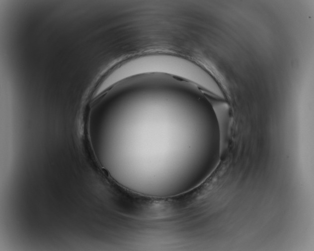 X0000093250060200710101448