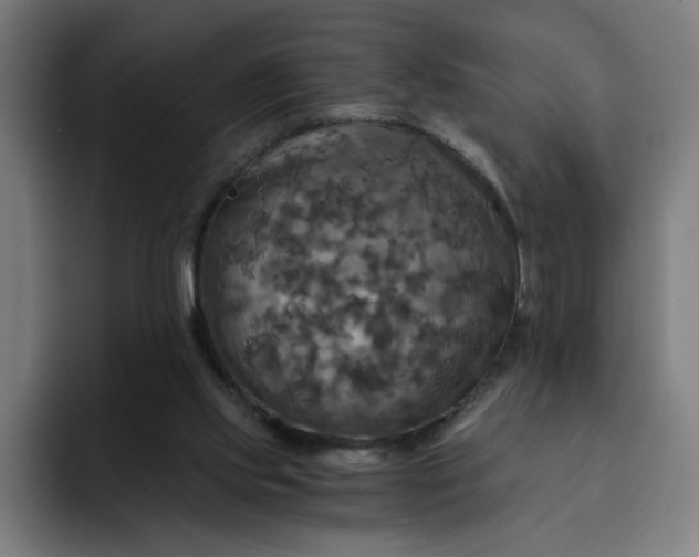 X0000093250061200710101448