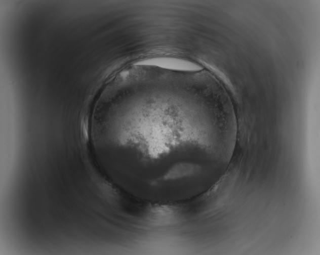 X0000093250062200710101448