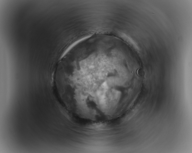 X0000093250065200710101448