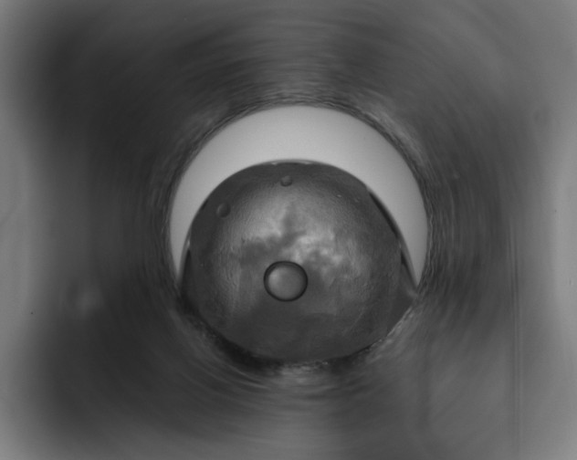 X0000093250070200710101448