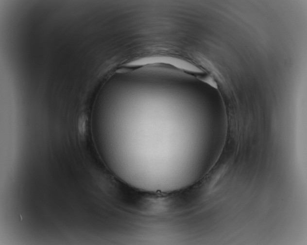 X0000093250071200710101448