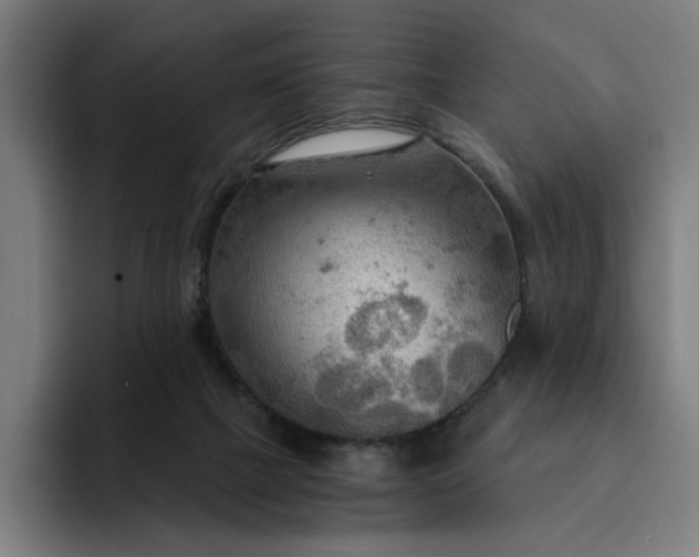 X0000093250073200710101448