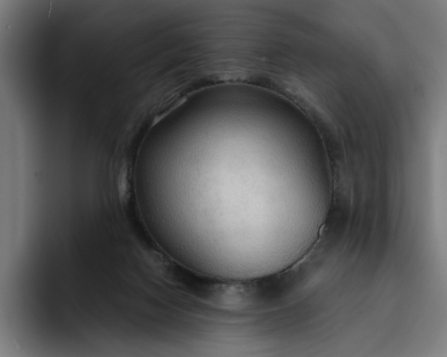 X0000093250074200710101448