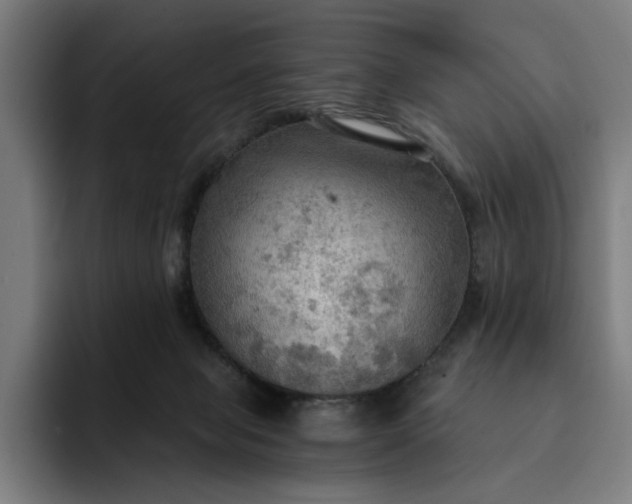 X0000093250077200710101448