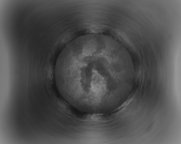 X0000093250078200710101448