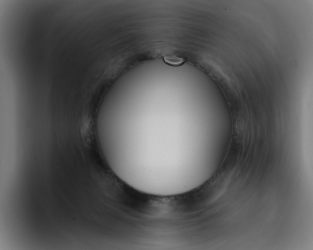 X0000093250079200710101448