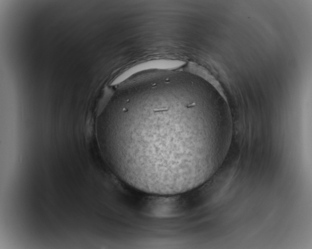 X0000093250081200710101448